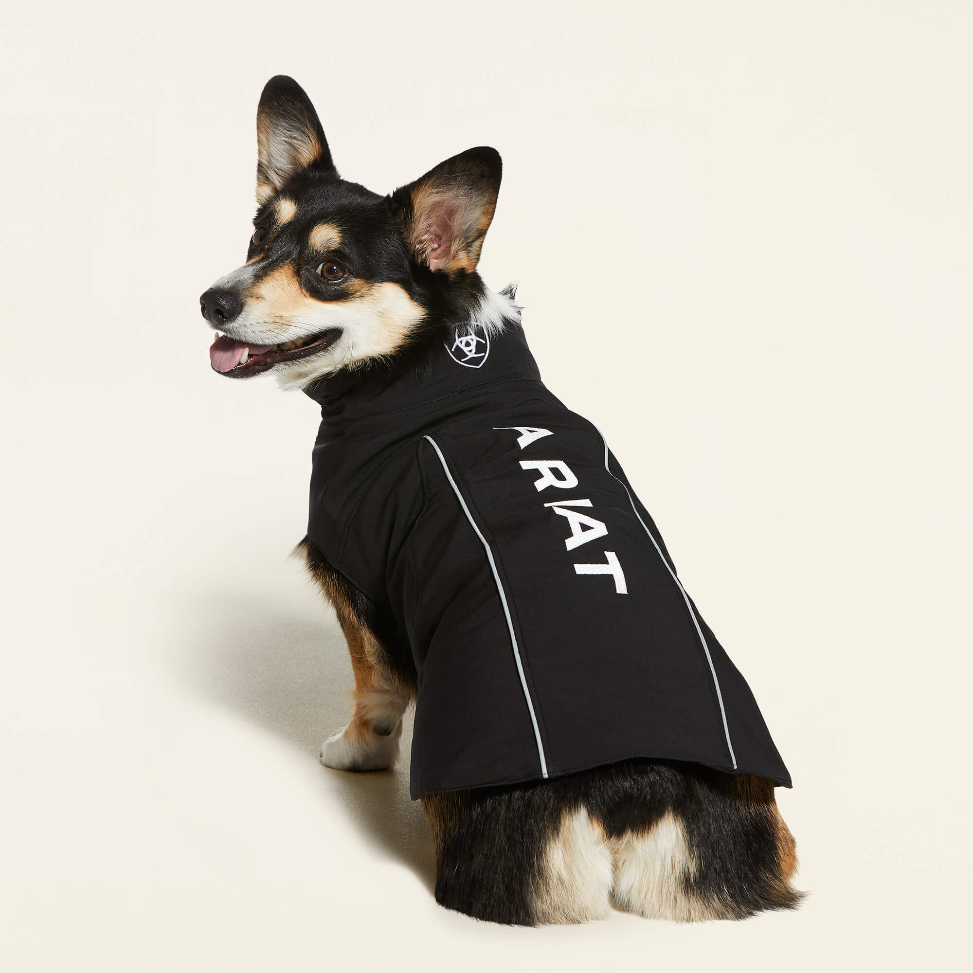 Team Softshell Dog Jacket