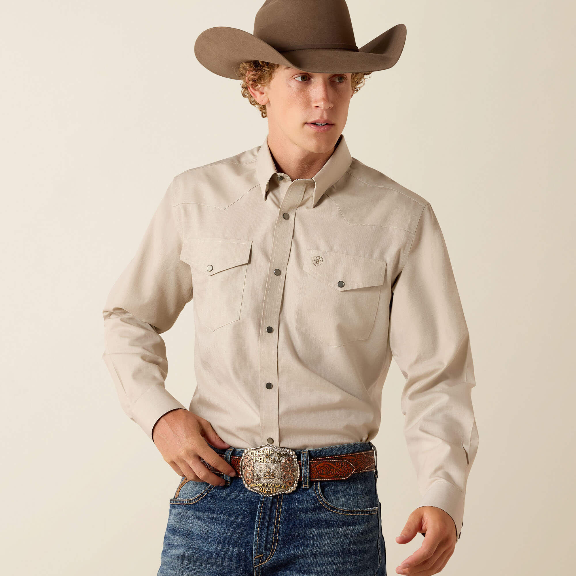 Wrinkle Free Pinpoint Oxford Fitted Snap Shirt